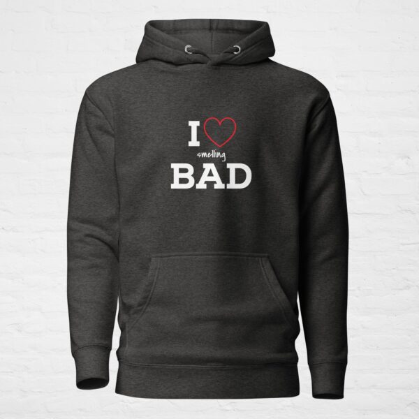 Unisex premium pullover hoodie charcoal heather front 6a0c4481748de.jpg