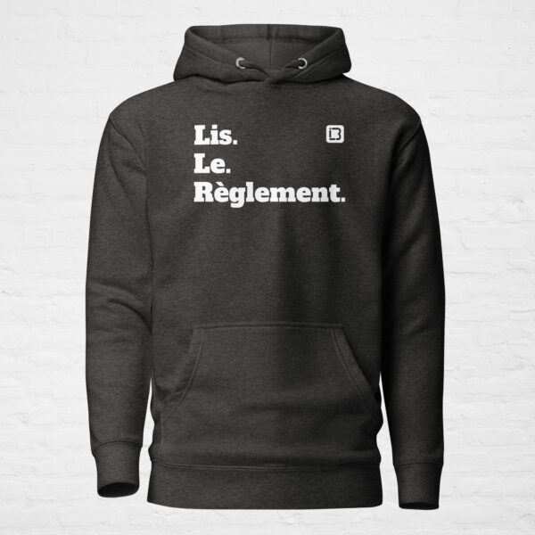 Unisex premium pullover hoodie charcoal heather front 6a0c494e8ea69.jpg