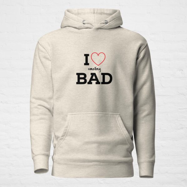 Unisex premium pullover hoodie oatmeal heather front 6a0c4411454be.jpg
