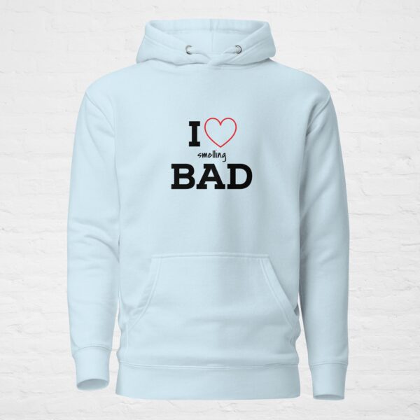 Unisex premium pullover hoodie sky blue front 6a0c4411497e4.jpg